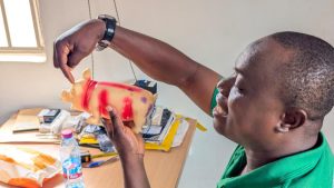 Read more about the article Building a Humane Future for Ghana’s  Pig  Farming