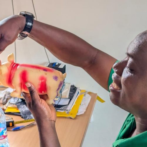 Building a Humane Future for Ghana’s  Pig  Farming